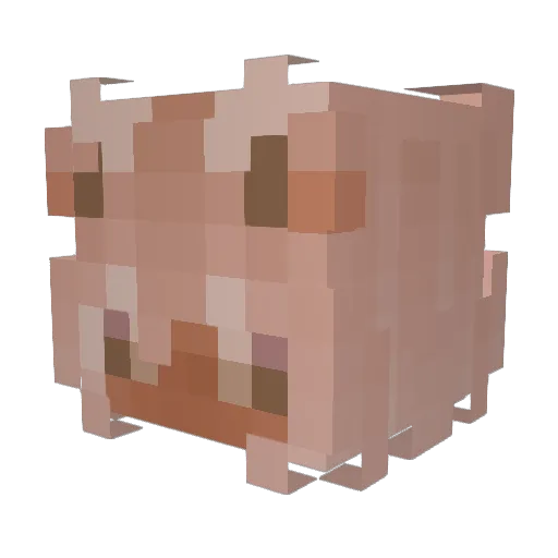 estherpoo Minecraft avatar head, 3D render