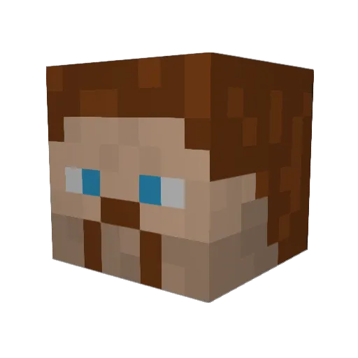 estinar Minecraft avatar head, 3D render