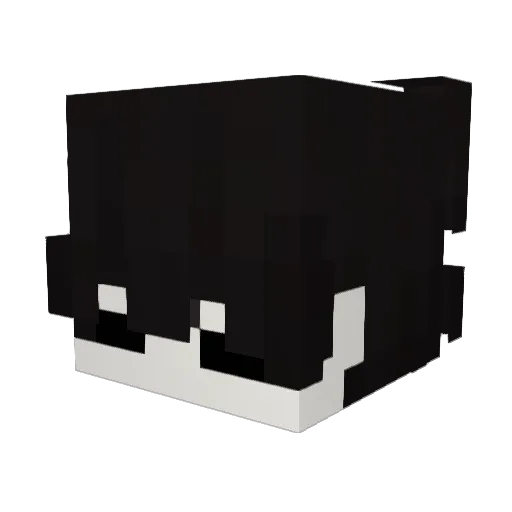 estoycagaodefrio Minecraft avatar head, 3D render