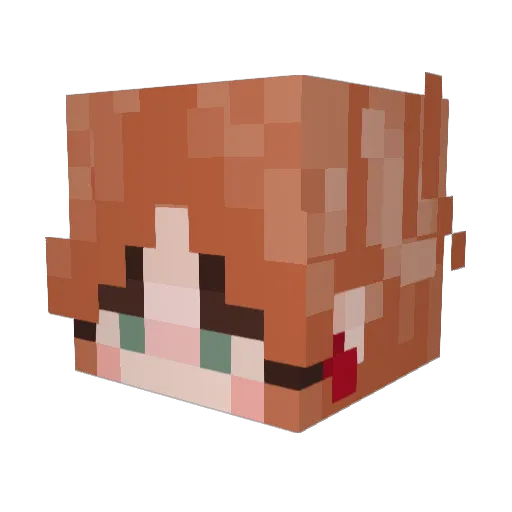 estradiolenjoyer Minecraft avatar head, 3D render