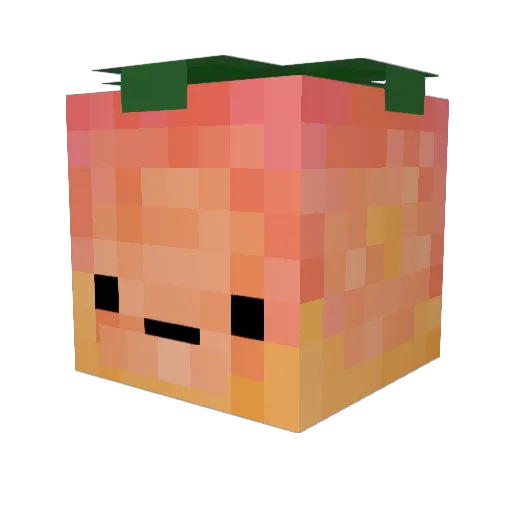 esw111 Minecraft avatar head, 3D render