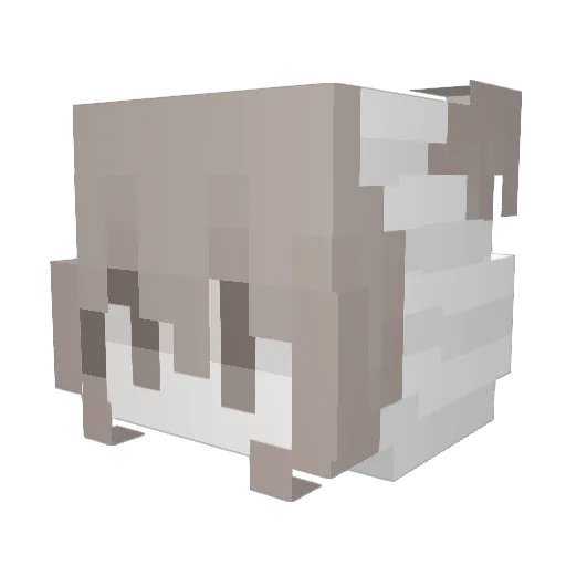 eswi Minecraft avatar head, 3D render