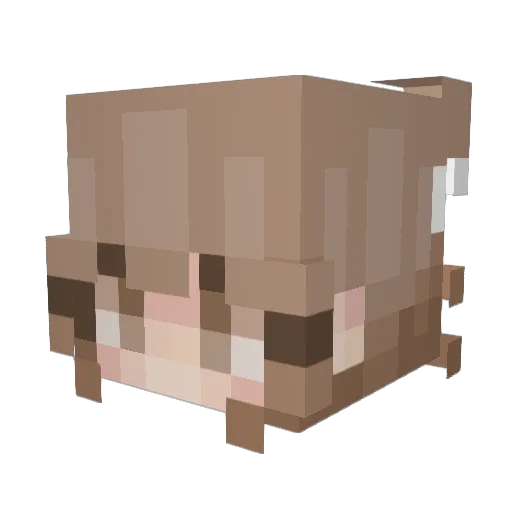 eswoqe Minecraft avatar head, 3D render
