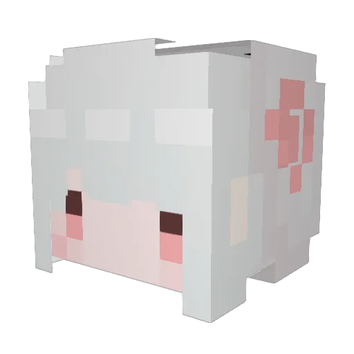 etHan5k Minecraft avatar head, 3D render