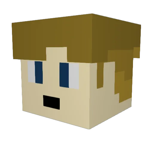 etanquerel7 Minecraft avatar head, 3D render