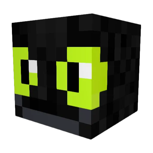etensoep Minecraft avatar head, 3D render