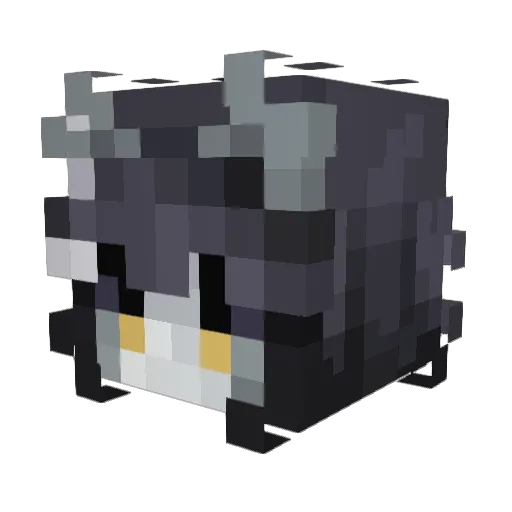 eternal_Ramen Minecraft avatar head, 3D render
