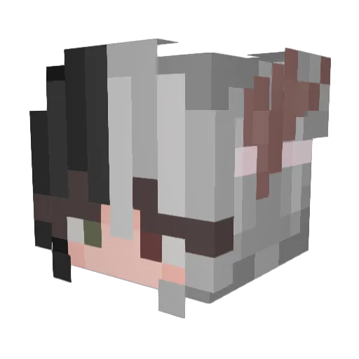 eternalmoonnn Minecraft avatar head, 3D render
