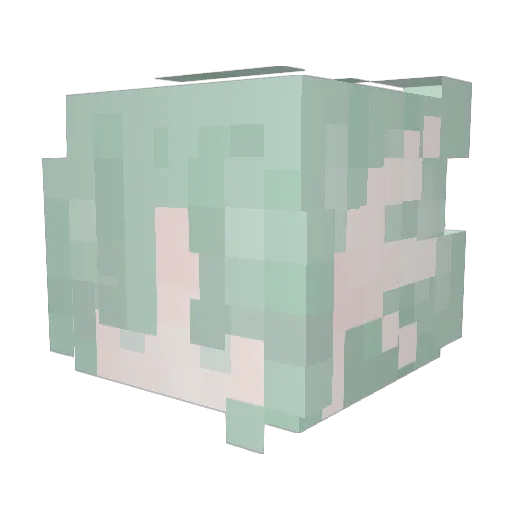 eternalpossum Minecraft avatar head, 3D render