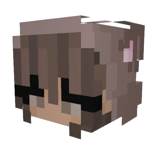 eth8ns Minecraft avatar head, 3D render