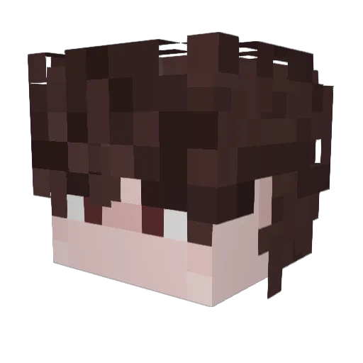 ethan0nPC Minecraft avatar head, 3D render