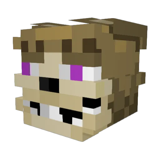 ethan11071 Minecraft avatar head, 3D render