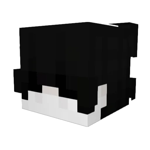 ethan6987 Minecraft avatar head, 3D render