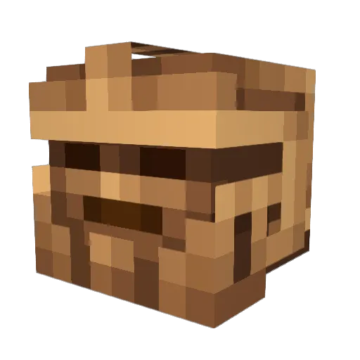 ethandj31 Minecraft avatar head, 3D render