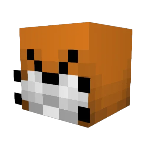 ethanesquick Minecraft avatar head, 3D render