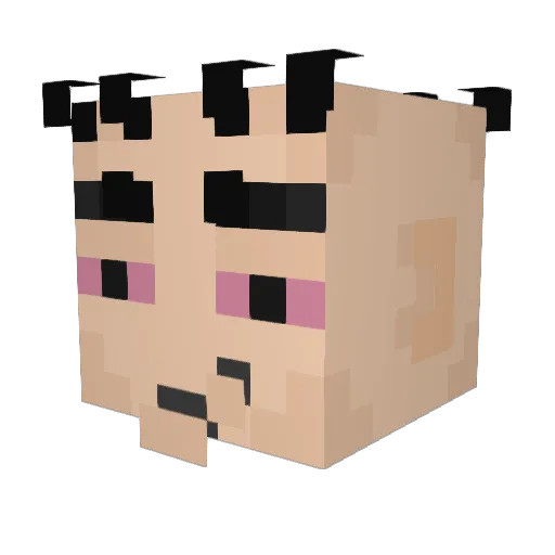 ethanexists Minecraft avatar head, 3D render