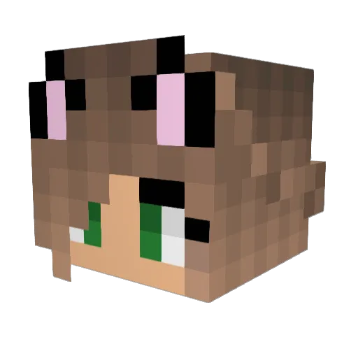 ethangaming213 Minecraft avatar head, 3D render