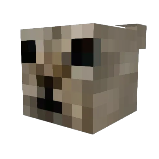 ethanjaykob Minecraft avatar head, 3D render