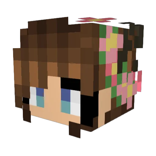 ethankann Minecraft avatar head, 3D render