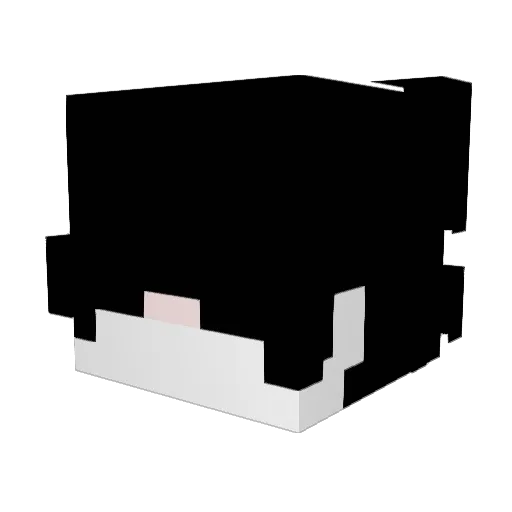 ethanpeoples Minecraft avatar head, 3D render