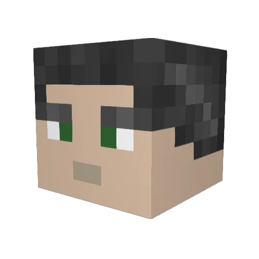 ethansminecraft6 Minecraft avatar head, 3D render