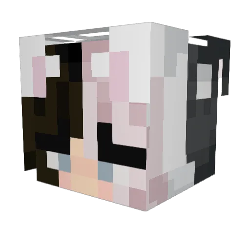 etherealglitter Minecraft avatar head, 3D render