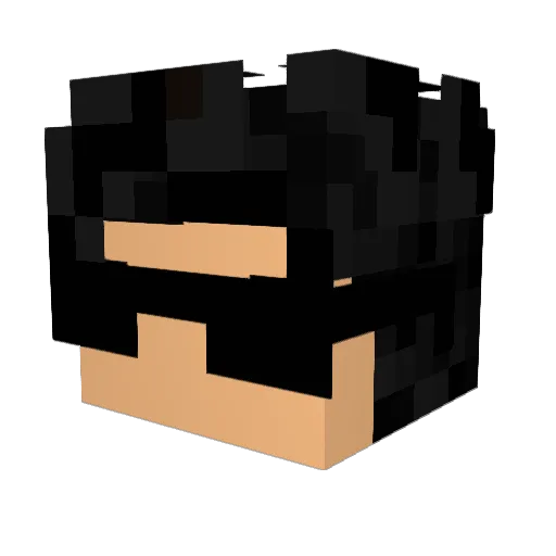 ethylacetate_ Minecraft avatar head, 3D render