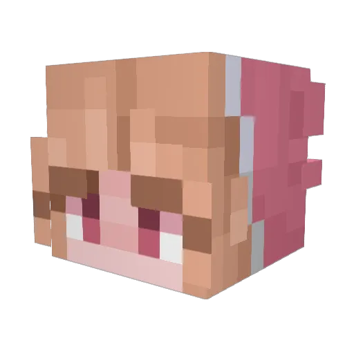 ethynm Minecraft avatar head, 3D render