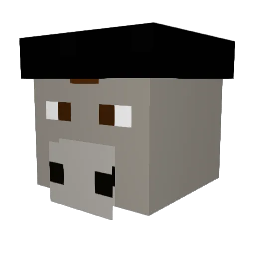 etivacmostwanted Minecraft avatar head, 3D render