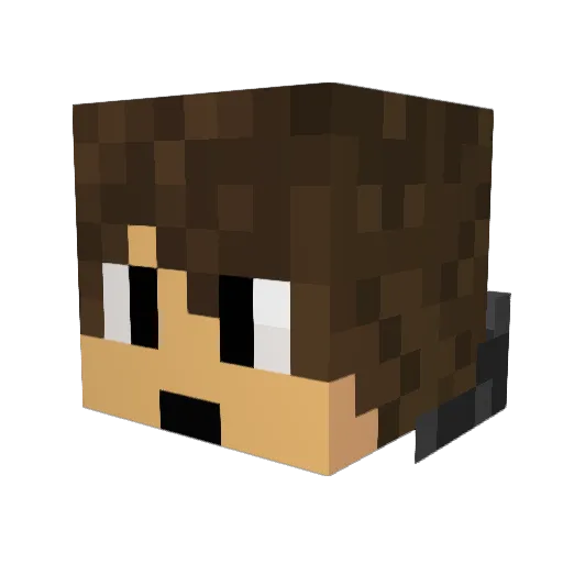 etnies647 Minecraft avatar head, 3D render