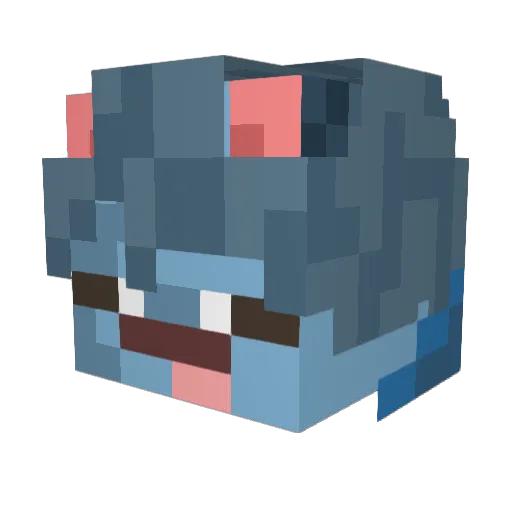 etunisgood Minecraft avatar head, 3D render