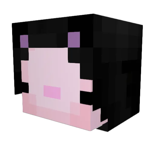 etv_ Minecraft avatar head, 3D render
