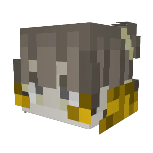 etymomo Minecraft avatar head, 3D render