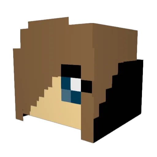 euan202 Minecraft avatar head, 3D render