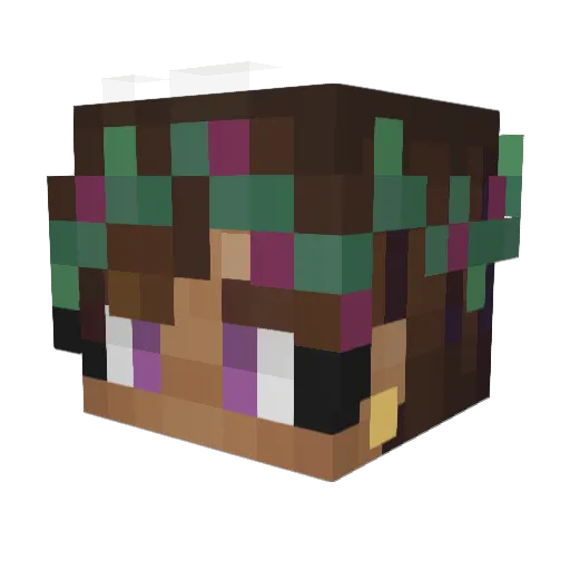 euanxs Minecraft avatar head, 3D render