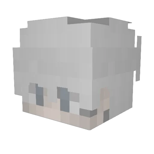 euav Minecraft avatar head, 3D render