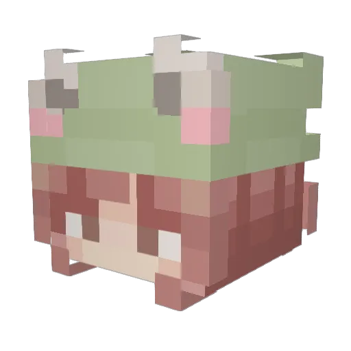 eub22 Minecraft avatar head, 3D render