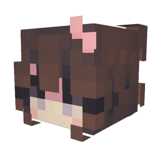 eucacile Minecraft avatar head, 3D render