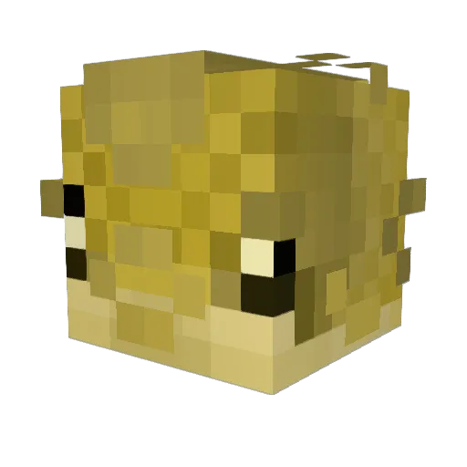 euclidthecichlid Minecraft avatar head, 3D render