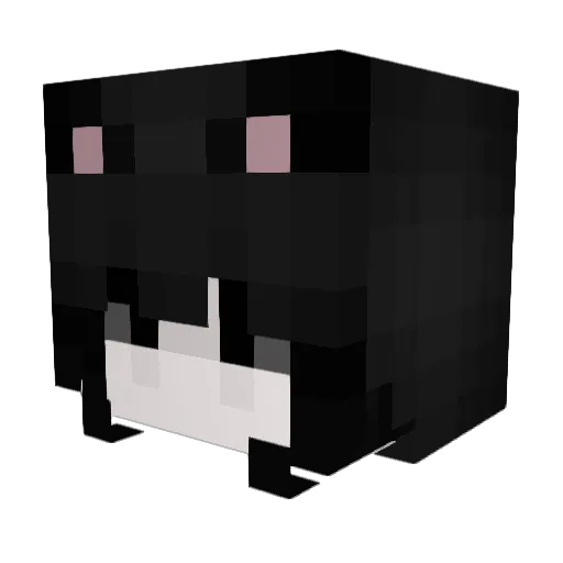 euev Minecraft avatar head, 3D render