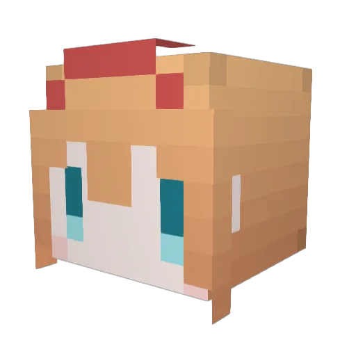 eula1025 Minecraft avatar head, 3D render