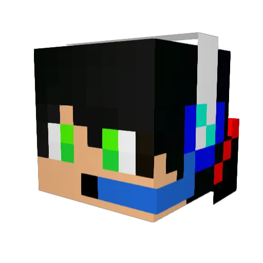 euninjaxd Minecraft avatar head, 3D render