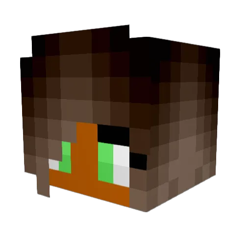 eunwoonnii Minecraft avatar head, 3D render