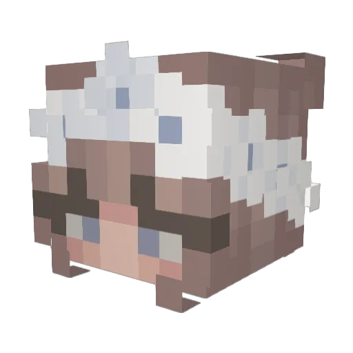 eupde Minecraft avatar head, 3D render