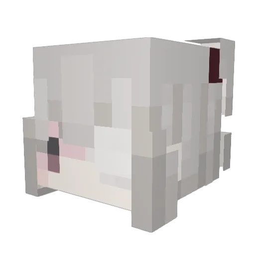 euphoriac Minecraft avatar head, 3D render