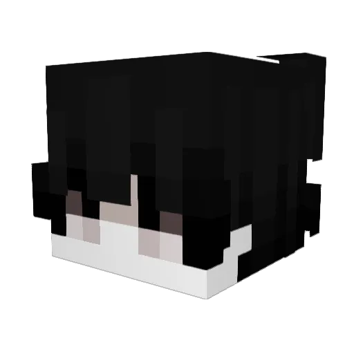 eupita Minecraft avatar head, 3D render