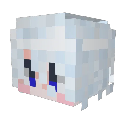 eusoubolada Minecraft avatar head, 3D render