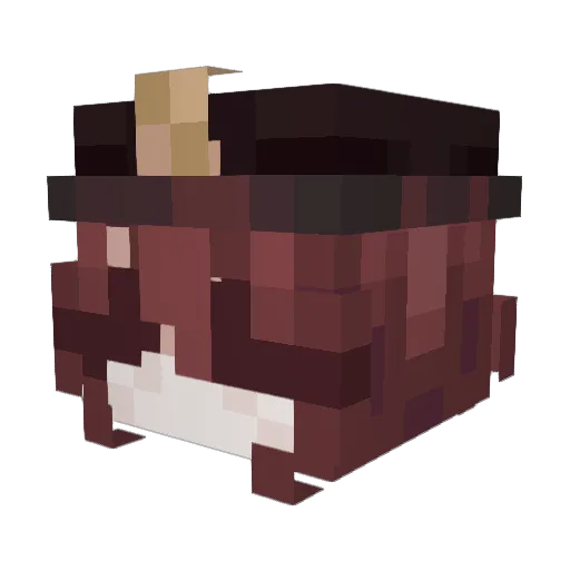 euthas Minecraft avatar head, 3D render