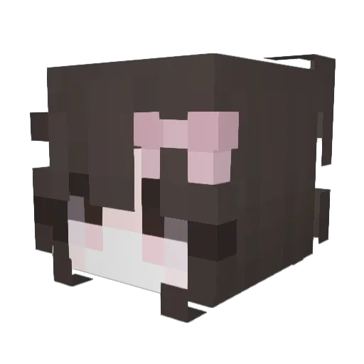 euu Minecraft avatar head, 3D render