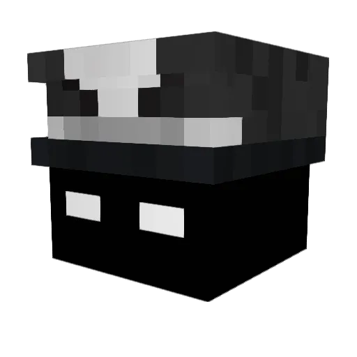 euve Minecraft avatar head, 3D render